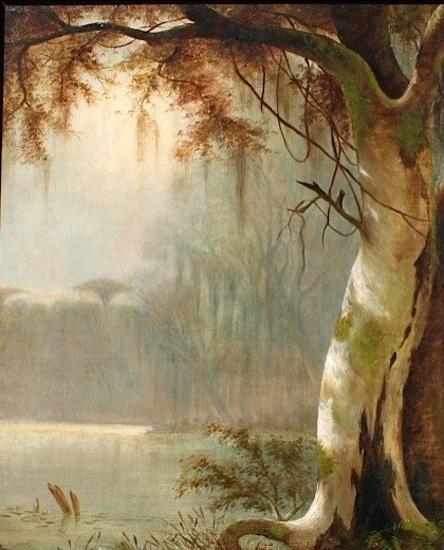 Lake Maurepas Bayou, Joseph Rusling Meeker